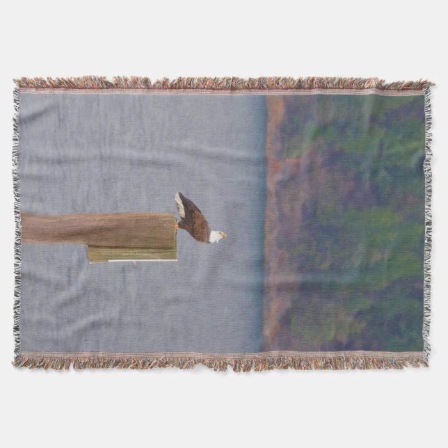 Bald Eagle ruft von der Post am See Decke (Vorderseite)