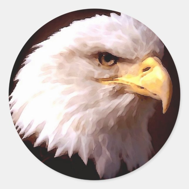 Bald Eagle Runder Aufkleber (Vorderseite)