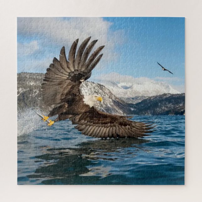 Bald Eagle schnappt sich einen Biss (Vertikal)