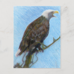 Bald Eagle Screaming in a Tree Postkarte