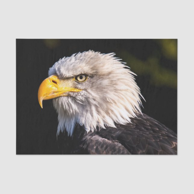 Bald Eagle Seidenpapier (Vorderseite)