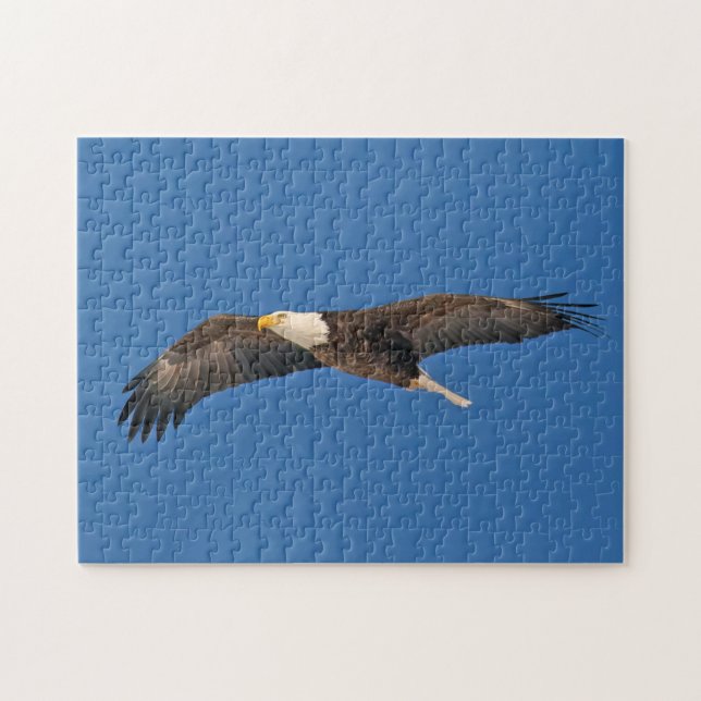 Bald Eagle Sky High (Horizontal)