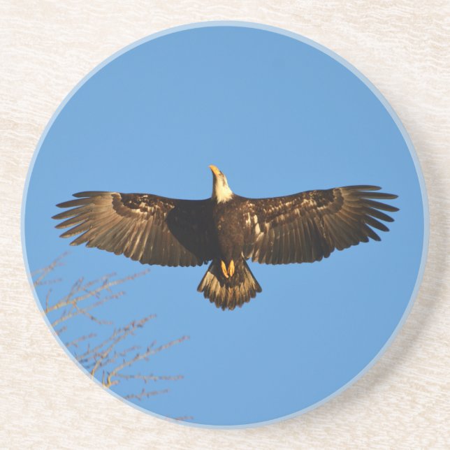 Bald Eagle Soaring1 Sandstein Untersetzer (Vorne)