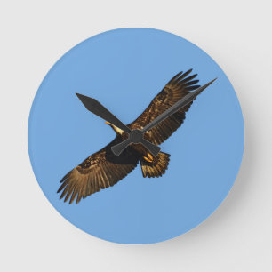 Bald Eagle Soaring 2 Runde Wanduhr