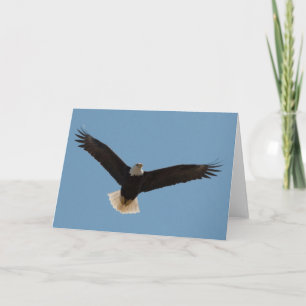 Bald Eagle Soaring-Framework Art Card Karte