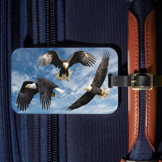 Bald Eagle Soaring Gepäckanhänger (Vorderseite Insitu 4)