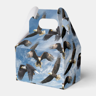 Bald Eagle Soaring Geschenkschachtel