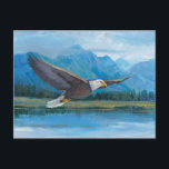 Bald Eagle Soaring Postkarte<br><div class="desc">Bald Eagle Soaring Artist: Tim Oole</div>