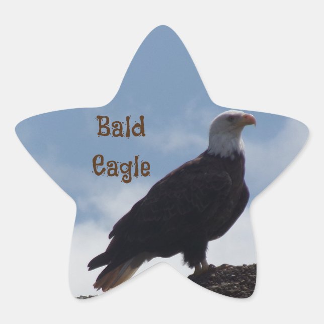Bald Eagle Star Stickers (Vorderseite)