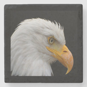 Bald Eagle Steinuntersetzer