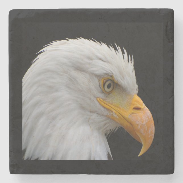Bald Eagle Steinuntersetzer (Vorderseite)
