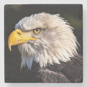 Bald Eagle Steinuntersetzer