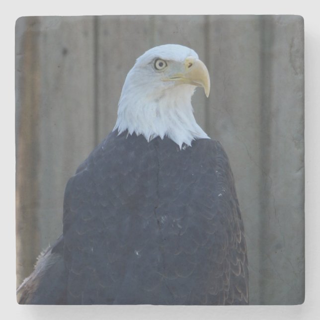 Bald Eagle Steinuntersetzer (Vorderseite)