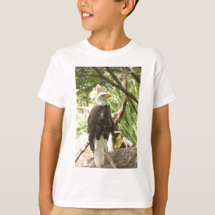 Bald Eagle T-Shirt