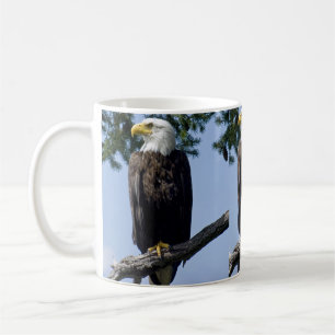 Bald Eagle Tasse