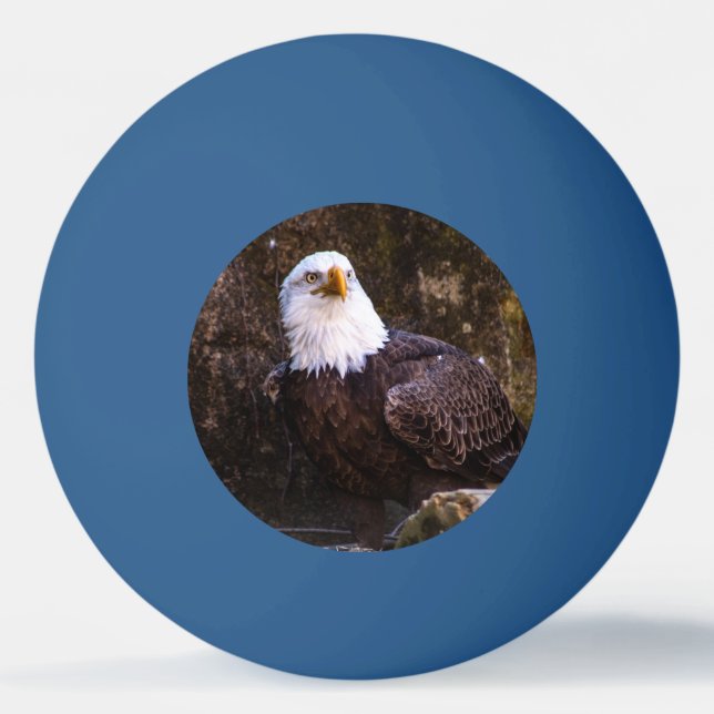 Bald Eagle Tischtennisball (Vorderseite)