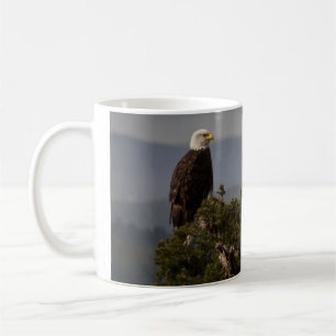 Bald Eagle Treetop - Tasse