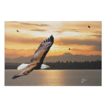 Bald Eagle über olympisches Gebirge Sonnenuntergan