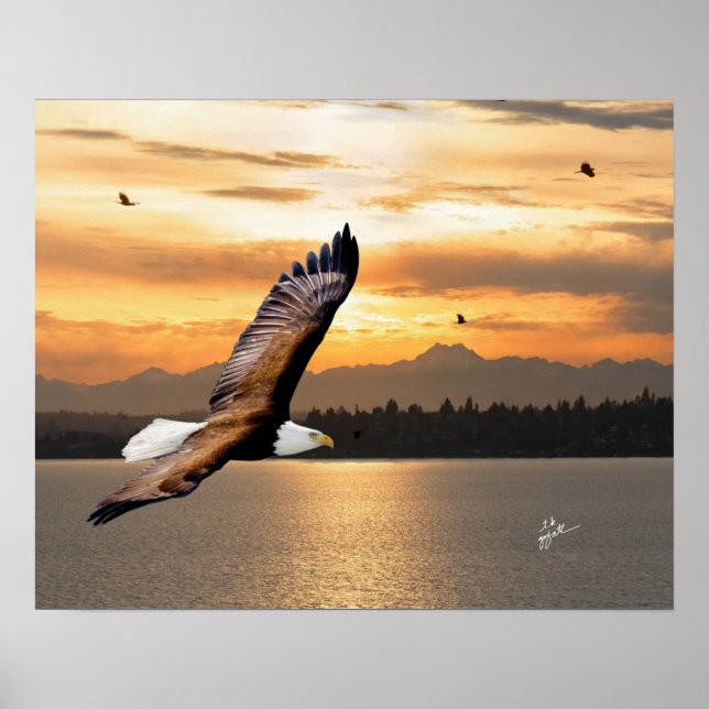 Bald Eagle über olympisches Gebirge Sonnenuntergan Poster (Vorne)