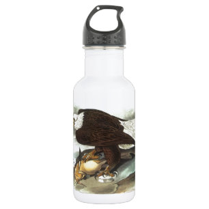 Bald Eagle von Audubon Edelstahlflasche