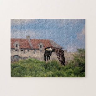 Bald Eagle vorbei an Fort Ticonabweicha
