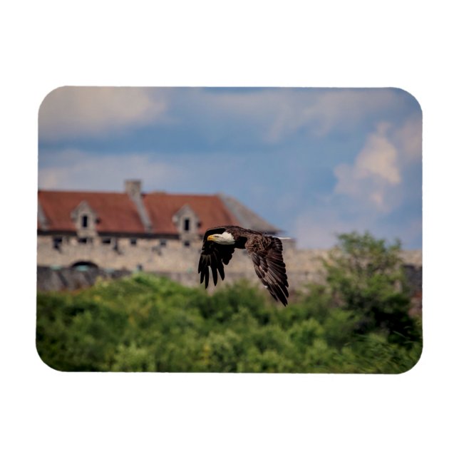Bald Eagle vorbei an Fort Ticonabweicha Magnet (Horizontal)
