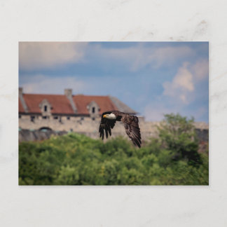 Bald Eagle vorbei an Fort Ticonabweicha Postkarte
