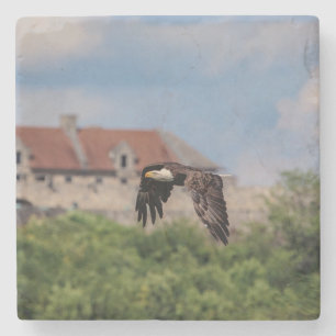 Bald Eagle vorbei an Fort Ticonabweicha Steinuntersetzer