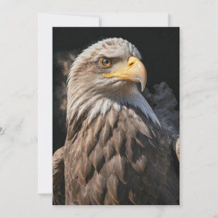 Bald Eagle Wild Animal Elegantes Dramatisches Port Ankündigung