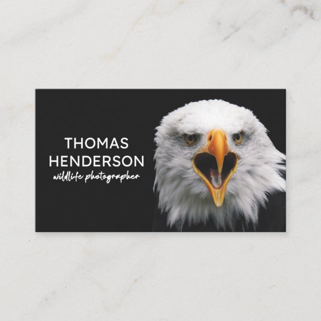 Bald Eagle Wildlife Fotograf Business Card Visitenkarte (Vorderseite)