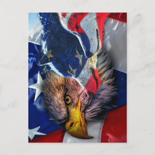 Bald Eagle Wolf American Flag Postkarte (Vorderseite)