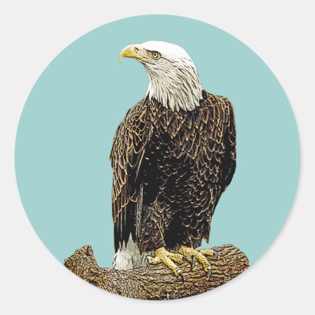 Bald Eagle Zeichnend Runder Aufkleber (Vorderseite)