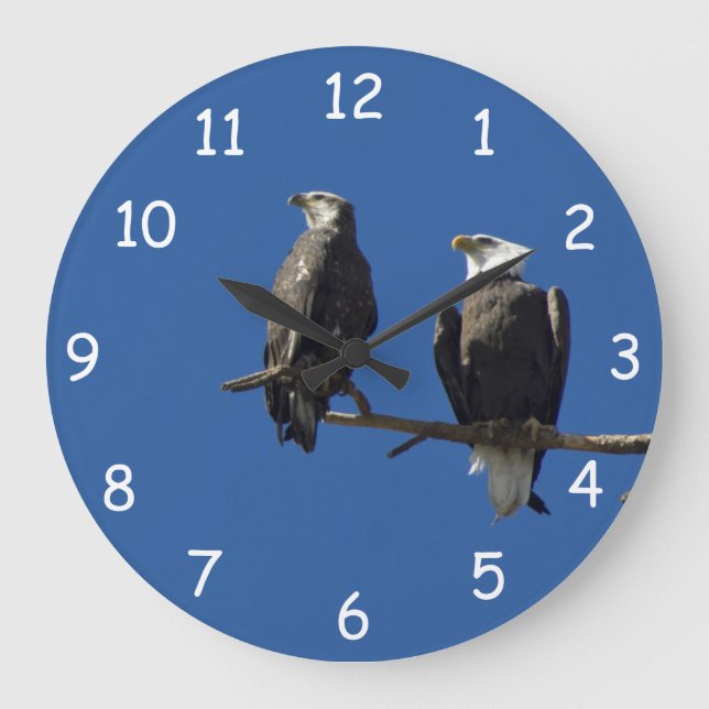 Bald Eagles Große Wanduhr (Vorderseite)
