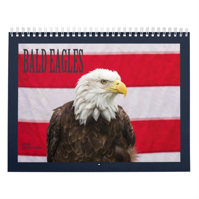 Bald Eagles Kalender (Titelbild)