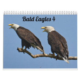 Bald Eagles $ Kalender