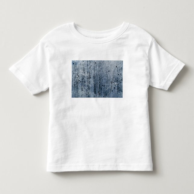 Bald Eagles Kleinkind T-shirt (Vorderseite)
