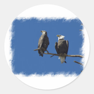Bald Eagles Runder Aufkleber