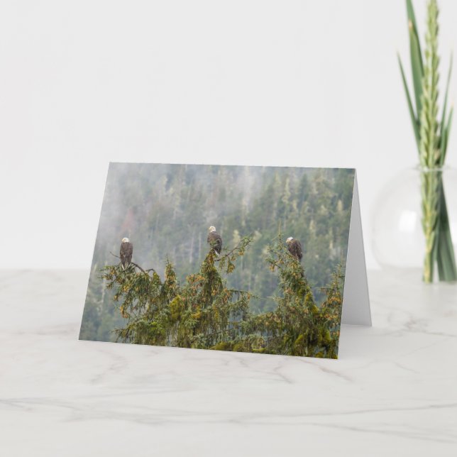 Bald Eagles | Tongass National Forest Alaska Karte (Vorderseite)