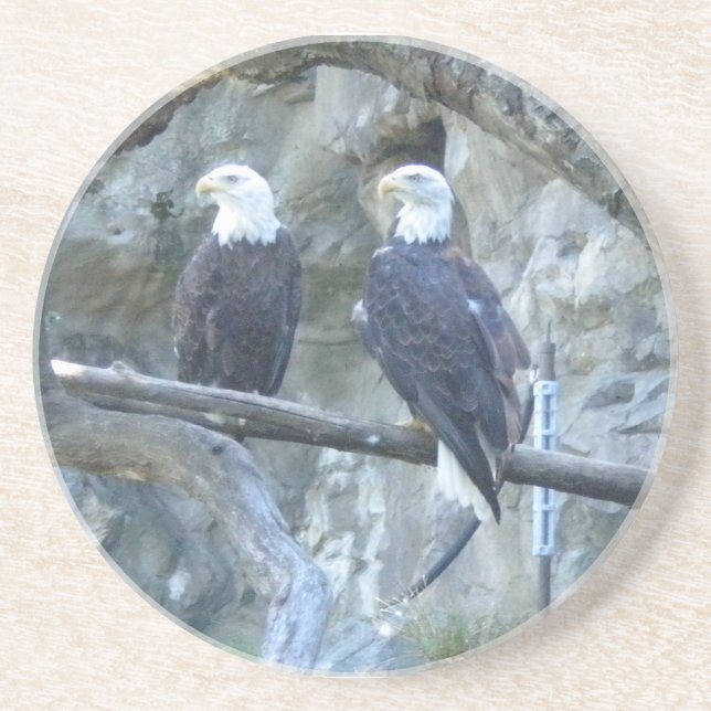 Bald Eagles Untersetzer (Vorne)