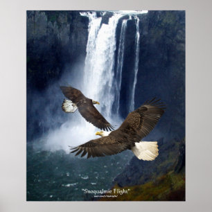 Bald Eagles & Waterfall Kunst, Dichtung und Musik Poster