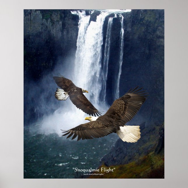 Bald Eagles & Waterfall Kunst, Dichtung und Musik Poster (Vorne)