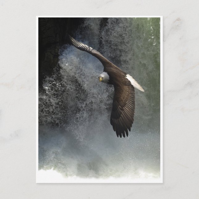 BALD-ELER- UND WASSERFALL-Postkarten Postkarte (Vorderseite)