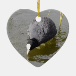 Bald Headed Coot Keramikornament