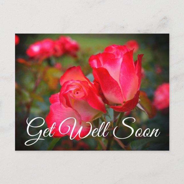 bald kommen Sie gut an Cherry Parfait Rose #4 Post Postkarte (Vorderseite)