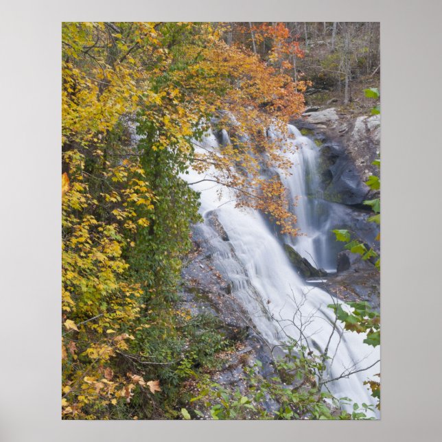 Bald River Falls Poster (Vorne)
