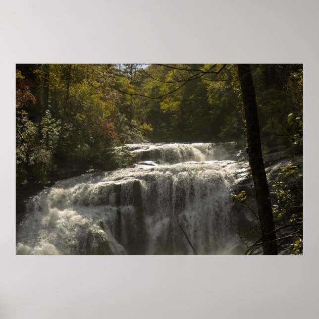 Bald River Falls Poster (Vorne)