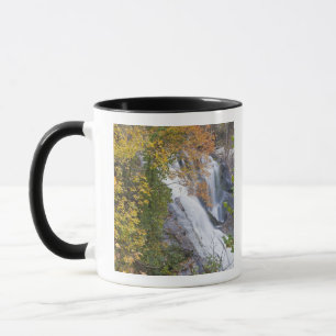 Bald River Falls Tasse
