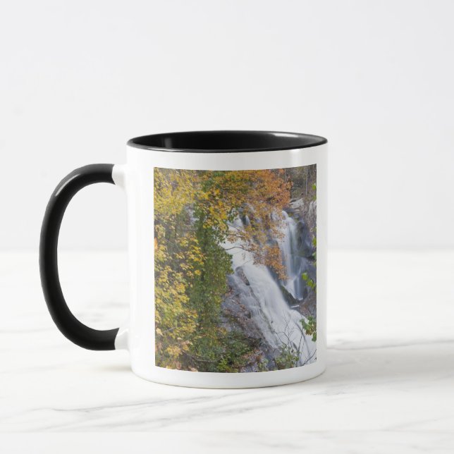 Bald-Wasserfälle Tasse (Links)
