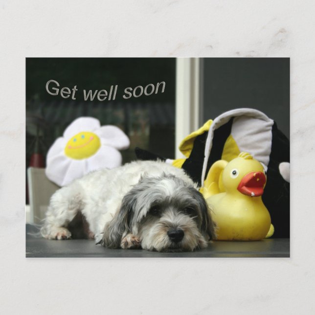 bald wieder gesund werden postkarte (Vorderseite)