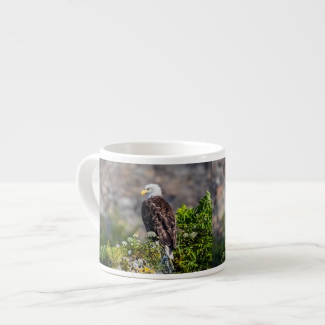 Baldadler auf dem Felsen Espressotasse (Vorderseite Links)